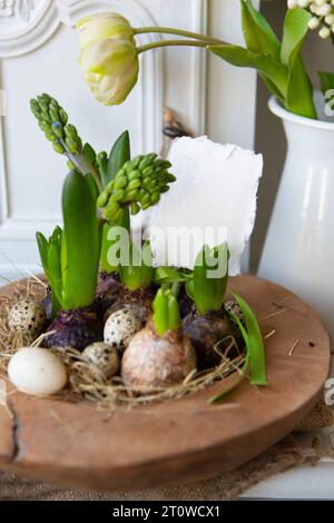 8. Februar 2023: Ostern, Dekoration mit Holzschale und mit Eiern dekorierten Pflanzenknospen *** Ostern, Dekoration mit Holzschale und Pflanzen Knospen geschmückt mit Eiern Credit: Imago/Alamy Live News Stockfoto