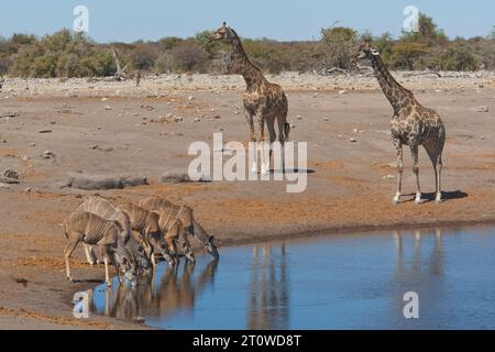 NAMIBIA IM SÜDLICHEN AFRIKA Stockfoto