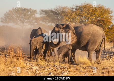 NAMIBIA IM SÜDLICHEN AFRIKA Stockfoto