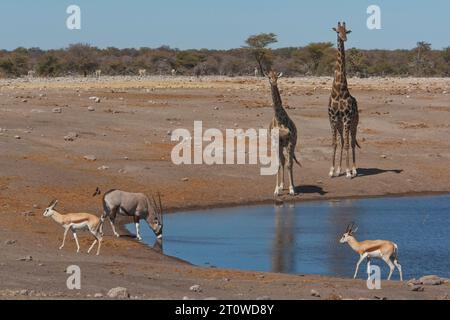 NAMIBIA IM SÜDLICHEN AFRIKA Stockfoto