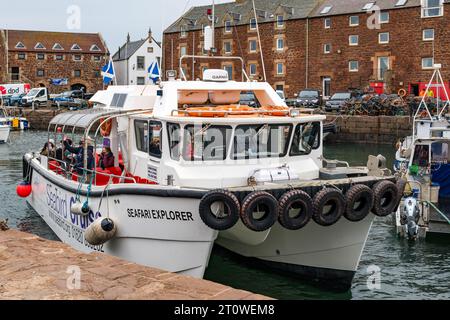 Seafari-Touristenboot, das nach einer Lockdown der Pandemie den Hafen von North Berwick verlässt. East Lothian, Schottland, Großbritannien Stockfoto