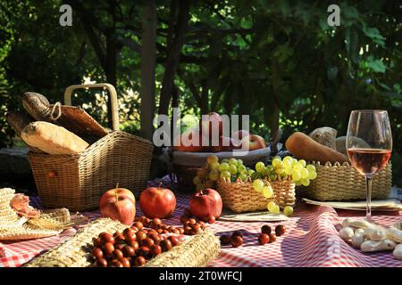 Ein Picknick in der Sonne mit Brot, Äpfeln, Wein, Trauben und Jujube. Stockfoto