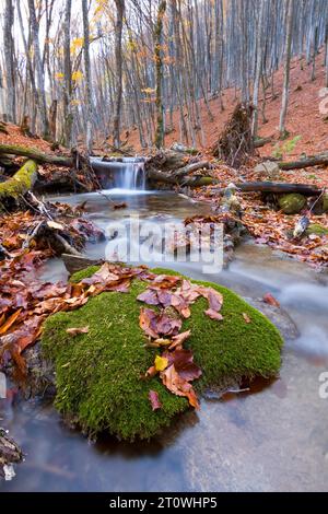 Großer Stein mit grünem Moos im Gebirgsbach im Herbstwald Stockfoto