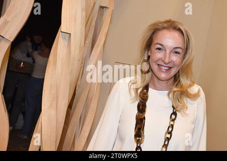 Kristina Hammer, Festspielpräsidentin, Richard Deacon, Tread, Vernissage, 2023, Galerie Ropac, Salzburg, *** Kristina Hammer, Festivalpräsidentin, Richard Deacon, Tread, Vernissage, 2023, Galerie Ropac, Salzburg, Stockfoto