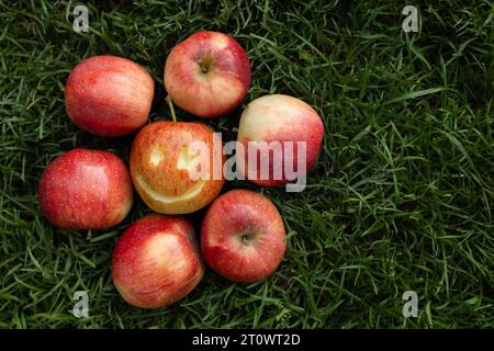 Unter den roten Äpfeln auf dem grünen Gras, ein Apfel mit einem Lächeln, das darauf geschnitzt wurde. Positives Konzept, die Wahl, glücklich zu sein. Gesunder Lebensstil, natürliches Vitamin Stockfoto