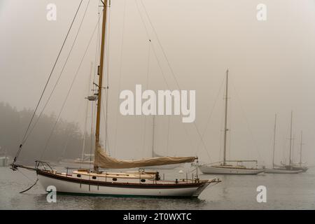 Klassisches Holzsegelyacht auf einem Liegeplatz im dichten Morgennebel in Center Harbor, Brooklin, Maine, USA, mit weiteren Yachten, die im Nebel verschwinden. Stockfoto