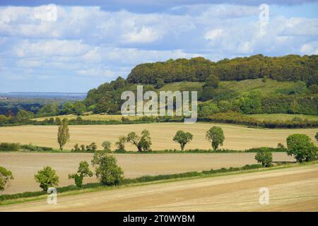 Ein Blick über die Sharpenhoe Clappers von Sundon Hills Stockfoto