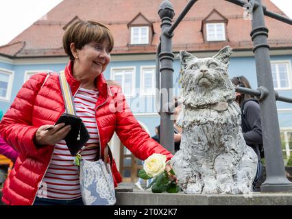 Memmingen, Deutschland. Oktober 2023. Brigitte Heckenrath, Freundin und Fan der Katze, legt eine weiße Rose am Denkmal der berühmten Katze Chicco. Die burmesische Katze war in der schwäbischen Stadt bekannt und sehr beliebt. Anfang 2023 starb Chicco. Als Ergebnis wurden Spenden gesammelt und die Memminger-Künstlerin Cornelia Brader fertigte eine Bronzeskulptur der Katze, die ihm am Stadtstrom gedenken wird. Quelle: Stefan Puchner/dpa/Alamy Live News Stockfoto