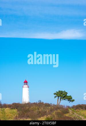 Als Leuchtturm oder Leuchtfeuer Dornbusch am Schluckswiek oder Schluckwieksberg steht daneben Windfluechter, Schottenkiefer (oder Schottenkiefer) (Common) Stockfoto