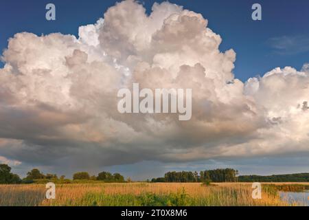 (Cumulus) Wolken über dem Moor am Fluss Trebel, Wetter, Peenetal Fluss Landschaft Naturpark, Mecklenburg-Vorpommern, Deutschland Stockfoto