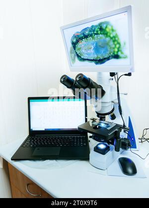Modernes digitales Mikroskop mit Kamera, Computer im Labor. Stockfoto