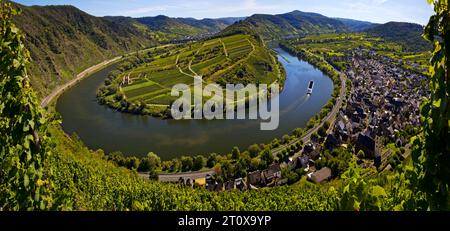 Moselschleife mit Weinbergen und Kirche Saint Laurentius vom Klettersteig Bremmer Calmont, Bremm, Rheinland-Pfalz, Deutschland Stockfoto