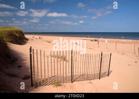 Hölzerner Erosionszaun am Stanhope Beach, Prince Edward Island, Kanada Stockfoto