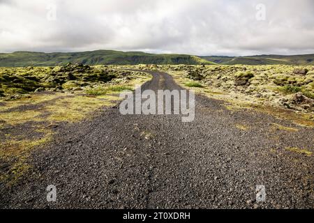 Schotterstraße umgeben von Lavafeldern mit grünem Moos und Bergen im Hintergrund an bewölktem Tag, Südküste, island Stockfoto