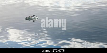 Schwimmendes Stück Eis in ruhigem Wasser mit reflektierenden Wolken, Jokulsarlon Glacier Lagoon, Island Stockfoto