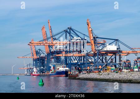 Rotterdam, Niederlande-16. September 2023; verschiedene Containerschiffe vor dem Containerterminal mit Kränen, die Container beladen oder umladen Stockfoto