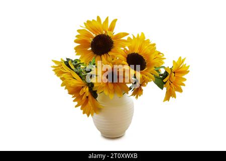 Frische Sonnenblumen in Vase isoliert auf weißem Hintergrund. Herbstfestliches Stillleben-Konzept Stockfoto