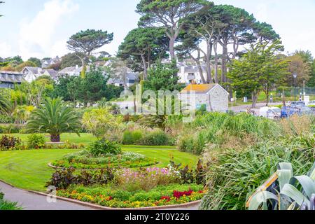 Falmouth Conwall, September 2023, Queen Mary Gardens wurde 1912 hinter Gyllyngvase Beach mit Monterey Pines, England, Großbritannien, eröffnet Stockfoto