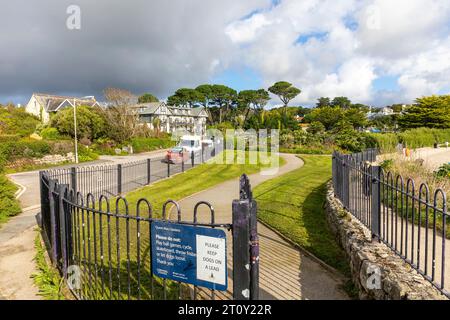 Falmouth Conwall, September 2023, Queen Mary Gardens wurde 1912 hinter Gyllyngvase Beach mit Monterey Pines, England, Großbritannien, eröffnet Stockfoto