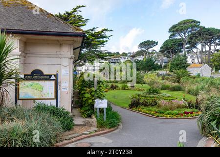 Falmouth Conwall, September 2023, Queen Mary Gardens wurde 1912 hinter Gyllyngvase Beach mit Monterey Pines, England, Großbritannien, eröffnet Stockfoto