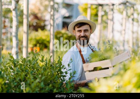 Porträt eines bärtigen Mannes, Kleinunternehmer, der Kiste mit frischen Pflanzen hält und lächelt Stockfoto