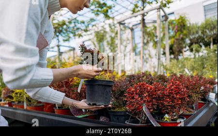Porträt einer jungen kaukasischen Farmerin in lässiger Kleidung und Schürze, die sich um Pflanzen kümmert Stockfoto