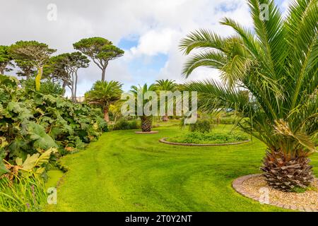 Falmouth Conwall, September 2023, Queen Mary Gardens wurde 1912 hinter Gyllyngvase Beach mit Monterey Pines, England, Großbritannien, eröffnet Stockfoto