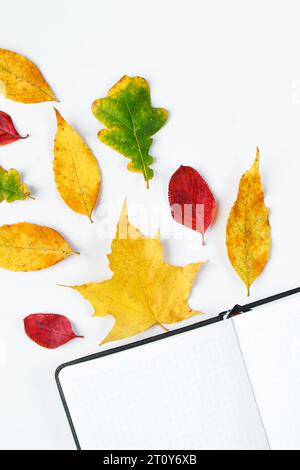 Hallo Herbst. Leeres Notizbuch und gelb gestürzte Blätter auf weißem Hintergrund. Beginn der Herbstsaison. Flach liegend, Kopierplatz. Stockfoto