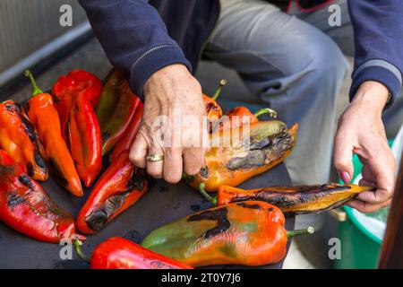 Das Rösten von Paprika auf dem Holzofen im Freien im Hof. Die Hände der Frau drehen die Paprika, um ein Brennen zu verhindern Stockfoto