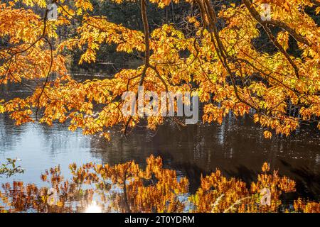 Birch Hill Dam in Royalston, Massachusetts Stockfoto