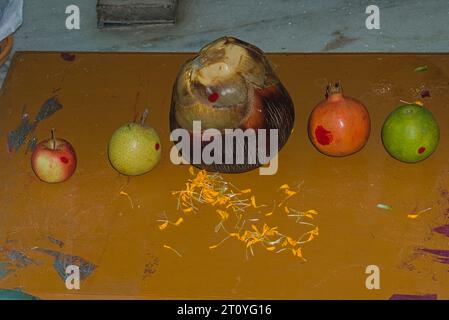 Verschiedene Obstsorten während des hindu-Puja-Festivals Stockfoto