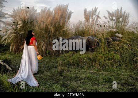 Das Modemodell Rima Bhattacharya posiert während des Agomoni Concept Outdoor Fotoshootings in einem mit Catkins oder Kashful gefüllten Gebiet rund 60 km von Kalkutta entfernt, während es einen traditionellen indischen Saree trägt und das Gesicht des Durga-Idols in der Hand hält. Das Model Rima Bhattacharya posiert für ein Foto für die Fotoserie, die auf dem Thema Durga Puja Vibes in Indien basiert. Rima Bhattacharya, ein Model und Prominente in der bengalischen Mode- und Fernsehbranche, arbeitet mit der Fotoserie zusammen, um Durga Puja zu fördern. Die Fotoserie wird von einer Gruppe von Fotografen organisiert die die vor- Stockfoto