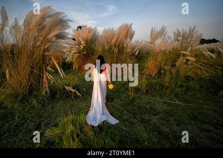 Das Modemodell Rima Bhattacharya posiert während des Agomoni Concept Outdoor Fotoshootings in einem mit Catkins oder Kashful gefüllten Gebiet rund 60 km von Kalkutta entfernt, während es einen traditionellen indischen Saree trägt und das Gesicht des Durga-Idols in der Hand hält. Das Model Rima Bhattacharya posiert für ein Foto für die Fotoserie, die auf dem Thema Durga Puja Vibes in Indien basiert. Rima Bhattacharya, ein Model und Prominente in der bengalischen Mode- und Fernsehbranche, arbeitet mit der Fotoserie zusammen, um Durga Puja zu fördern. Die Fotoserie wird von einer Gruppe von Fotografen organisiert die die vor- Stockfoto