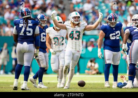 Miami Dolphins Linebacker Andrew Van Ginkel (43) feiert nach einem Sack auf New York Giants Quarterback Daniel Jones (8) während eines regulären Saisonspiels, Stockfoto