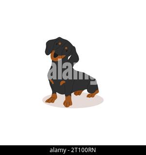 Lustiger und süßer schwarzer Dackel. Hundeentnahme. Vektor-Illustration von niedlichen Rassen Hunden in trendiger flacher Art Stock Vektor