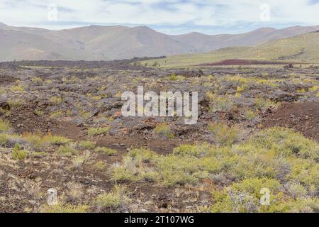 Lavafelder und Büsche im Craters of the Moon National Monument Stockfoto