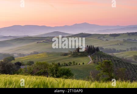Haus umgeben von Zypressen inmitten der nebeligen sonnenverwöhnten Hügel des Val d'Orcia bei Sonnenaufgang in San Quirico d'Orcia, Toskana, Ita Stockfoto