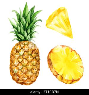 Aquarell Hand gezeichnete Illustration von Ananas mit Hälfte und Scheiben reife Ananas, Skizze von tropischen Früchten, Lebensmittelillustration isoliert auf Watercolo Stockfoto