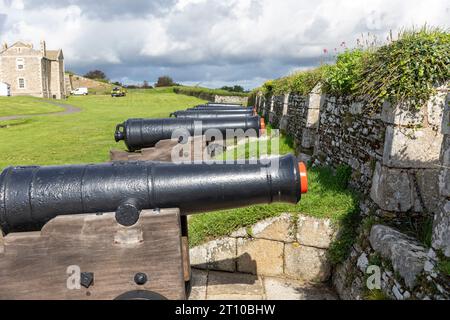 Falmouth, erbaut von Henry V111, um Angriffe auf See abzuwehren, in Cornwall, England, Großbritannien, nahm 2023 sonnige Tageskanonen auf Stockfoto