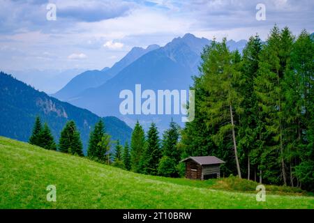 Hölzerne Berghütte umgeben von schrägen grünen Feldern und Wald mit hohen Bäumen in Reith im Alpbachtal, Alpbachtal, Tirol, Österreich. Stockfoto