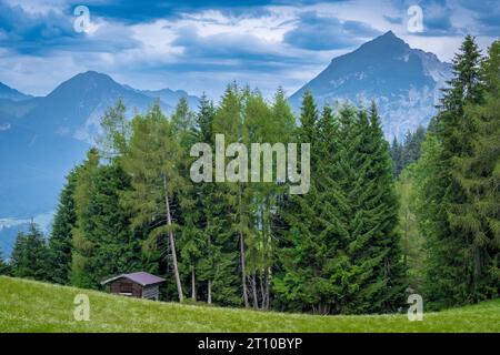 Hölzerne Berghütte, abfallende grüne Felder, ein Wald mit hohen Bäumen und majestätische Berge in Reith im Alpbachtal, Alpbachtal, Tirol, Österreich. Stockfoto