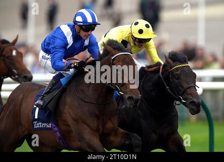 Aktenfoto vom 28-09-2023 von Alyanaabi (links), der Owen Burrows zuversichtlich ist, seine Präsenz in den Dewhurst Stakes am Samstag am Native Trail in Newmarket zu spüren bekommen. Ausgabedatum: Dienstag, 10. Oktober 2023. Stockfoto