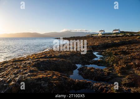 Penmon Point an der Küste von Anglesey, Nordwales. Felsige Küste, die in Morgensonne getaucht ist. Blick auf die Menai-Straße. Stockfoto