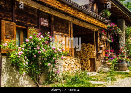 Trelechamp In Chamonix In Haute Savoie In Frankreich Stockfoto