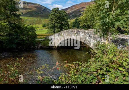 Neue Brücke über den Fluss Derwent auf dem Cumbria Way im Sommer Rosthwaite Borrowdale Lake District Nationalpark Cumbria England Großbritannien Großbritannien Stockfoto