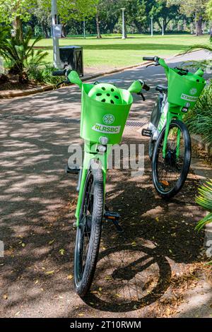 Hellgrüne Lime-Elektrofahrräder im Hyde Park, Sydney, Australien Stockfoto