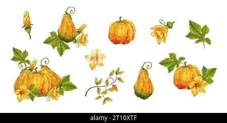 Aquarellset mit Herbstkürbissen, Blumen, Pilzen. Set mit herbstlichen Elementen. Herbstkompositionen mit Kürbissen, Blumen und Zweigen. Stockfoto