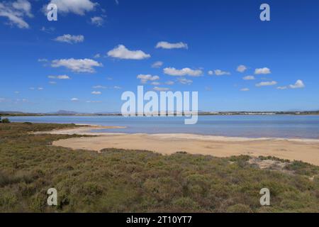 Naturpark La Laguna Salada de la Mata y Torrevieja. Stockfoto