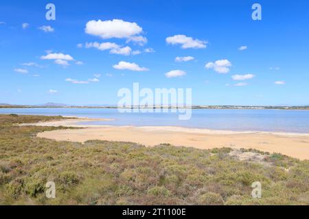 Naturpark La Laguna Salada de la Mata y Torrevieja. Stockfoto