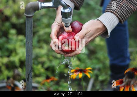 Hände einer Frau mittleren Alters waschen roten Apfel unter dem Wasserstrahl, der aus dem Wasserhahn im Garten fließt. Stockfoto